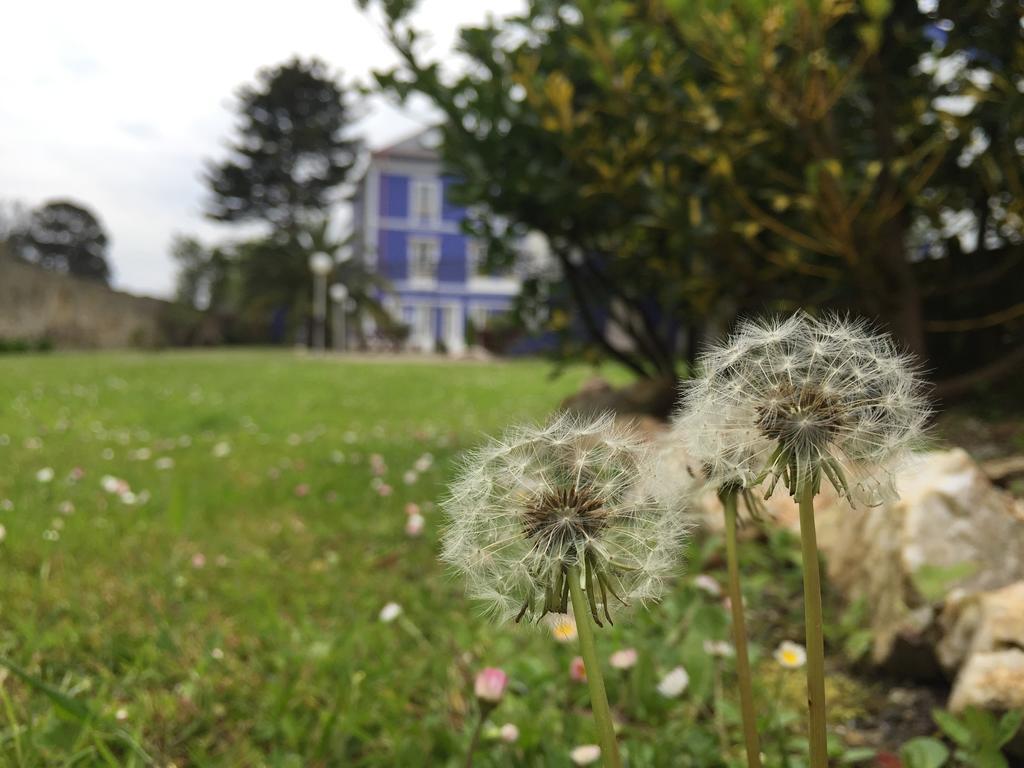 Hotel Gastronomico Araucaria Ribadeo Buitenkant foto